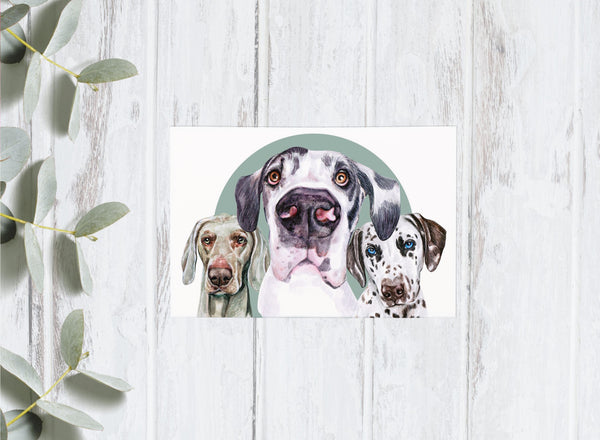 Dog Portrait Collection - Doggos - 4x6 Postcards
