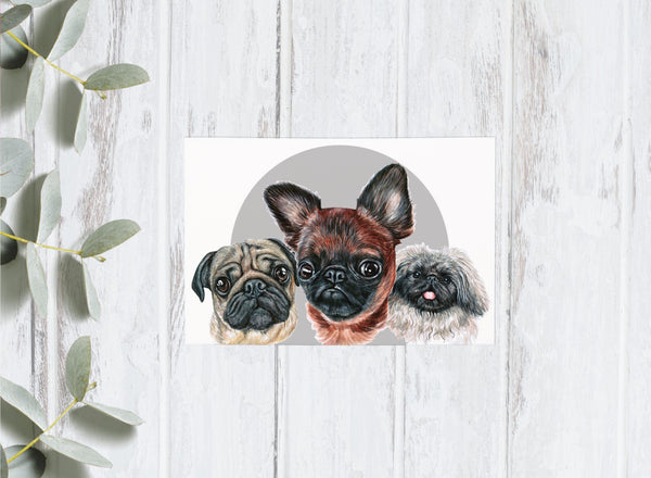 Dog Portrait Collection - Doggos - 4x6 Postcards
