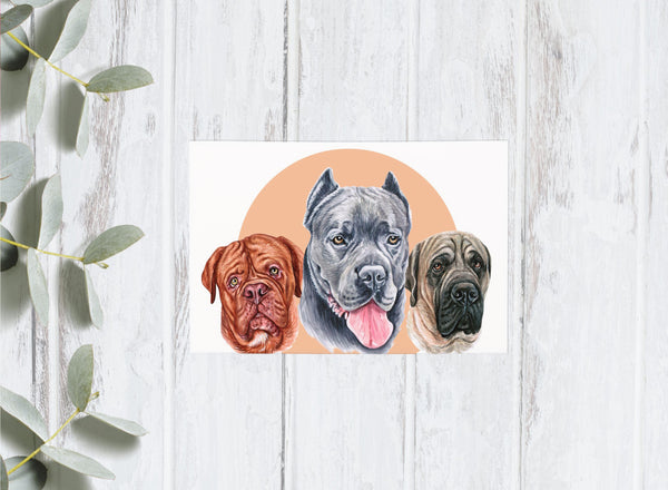 Dog Portrait Collection - Doggos - 4x6 Postcards