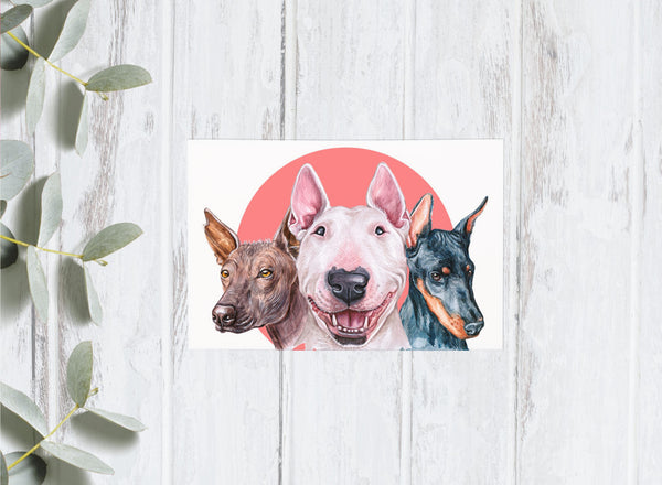 Dog Portrait Collection - Doggos - 4x6 Postcards