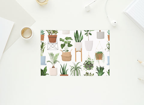 House Plants - 4x6 Postcards