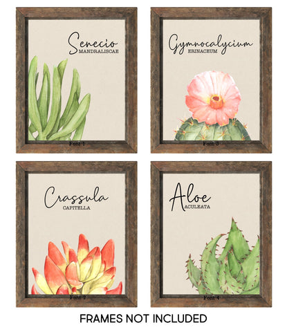 Cactus Scientific Names Wall Art - UNFRAMED 8x10 Prints - Desert Decor - SET OF 4