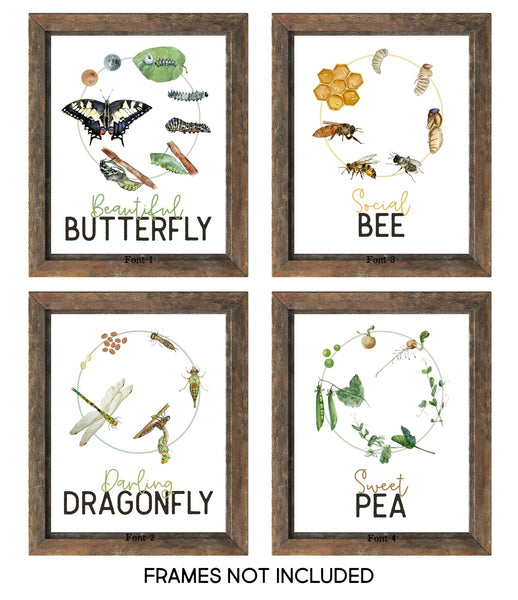 Life Cycles - Beautiful Butterfly Social Bee Darling Dragonfly Sweet Pea - Educational Prints - DIGITAL Download Printable File